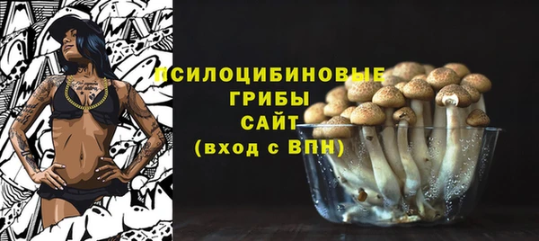 твердый Алзамай