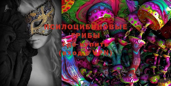 дживик Алексеевка